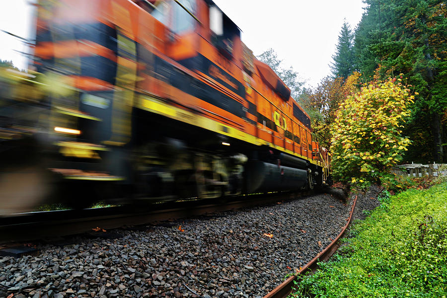 Train Photograph - Missed The Train by Susan Vizvary Photography