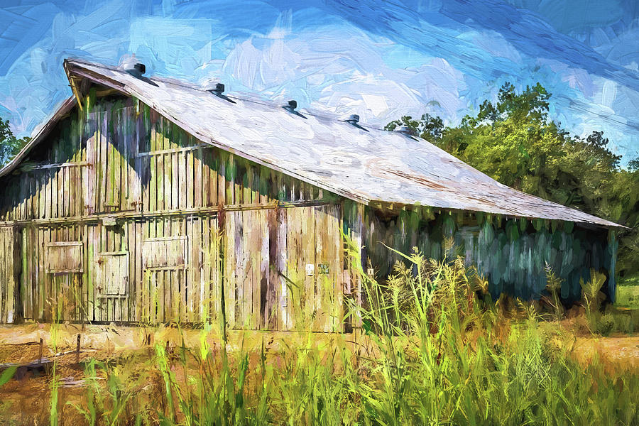 Mississippi Delta Barn Digital Art by Barry Jones