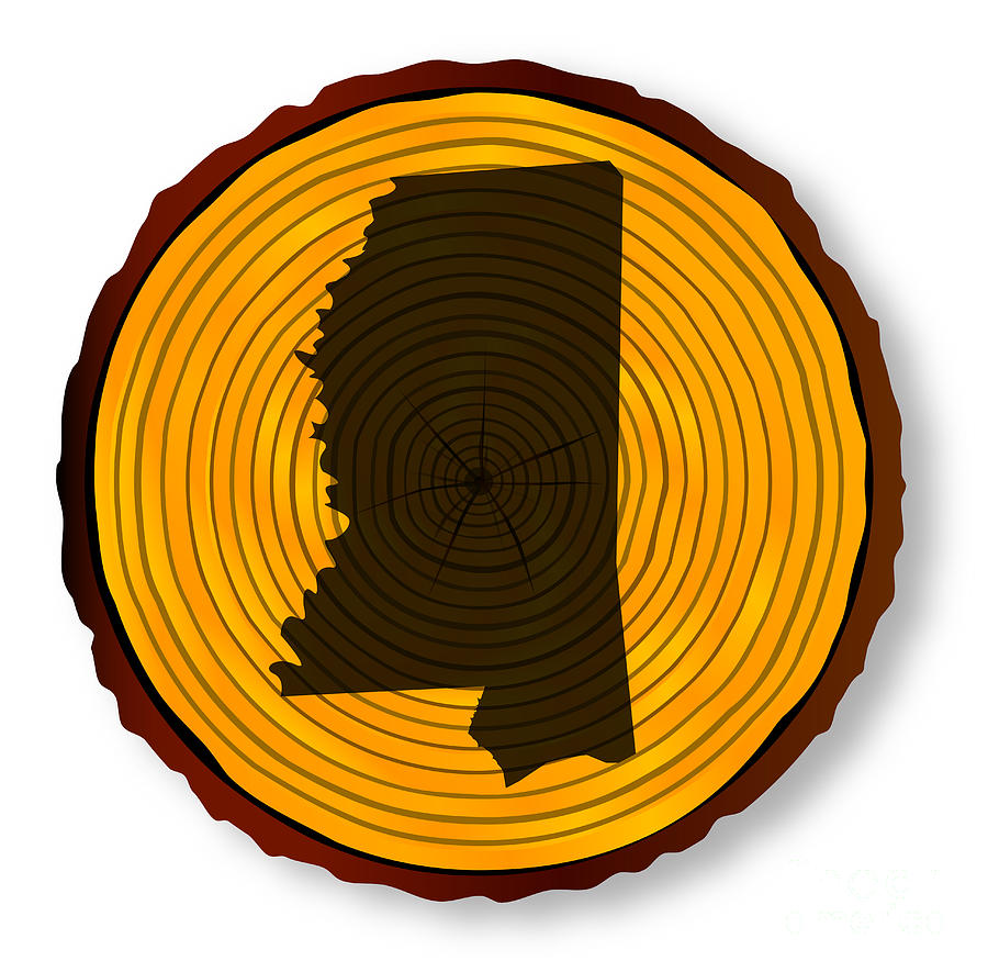 Mississippi Map On Timber Digital Art By Bigalbaloo Stock - Fine Art ...