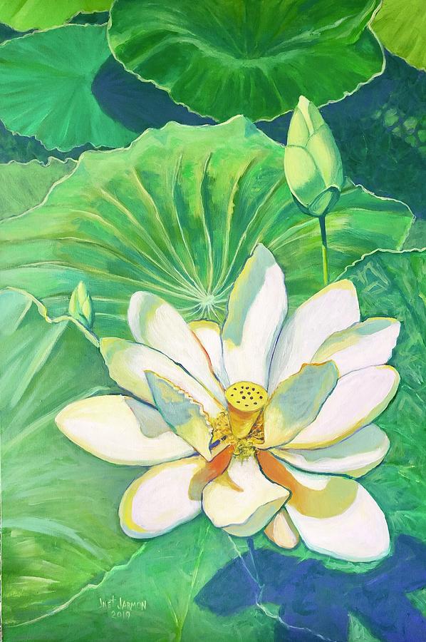 Mississippi Water Lily Painting by Jeanette Jarmon