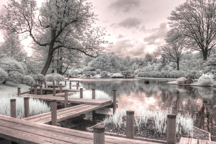 Missouri Botanical Garden infrared photography st louis jane linders Photograph by Jane Linders