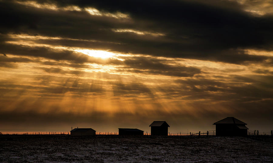 Missouri Farm At Sunrise Photograph by Bob Pool
