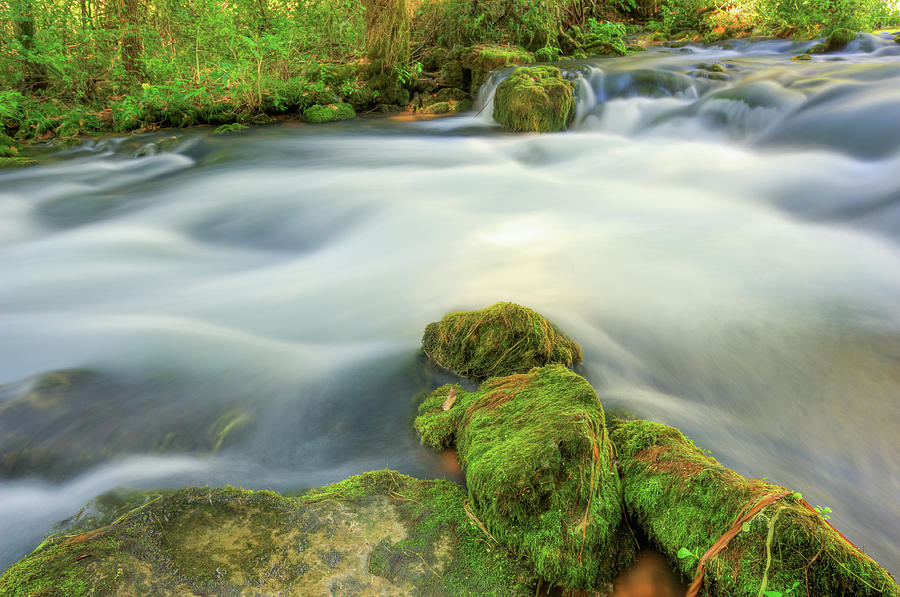 Missouri Mossy River Landscape Photograph by Gregory Ballos