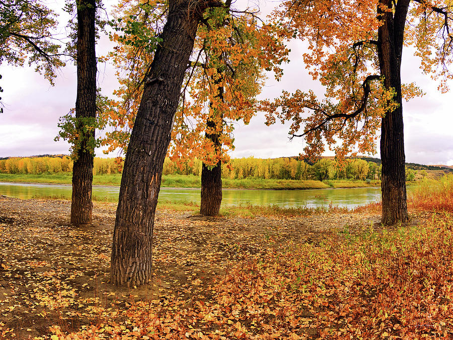 Missouri River Autumn Photograph by Leland D Howard