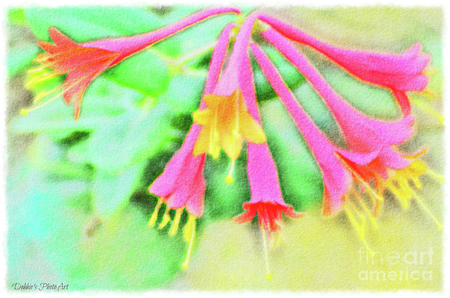 Red and Yellow Honeysuckle - 4 Mixed Media by Debbie Portwood