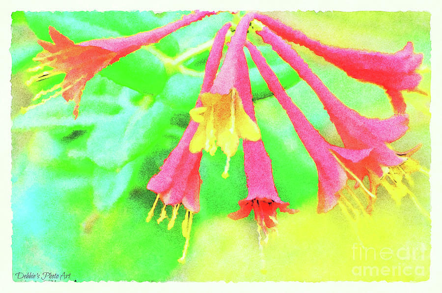 Red and Yellow Honeysuckle - 2 Mixed Media by Debbie Portwood