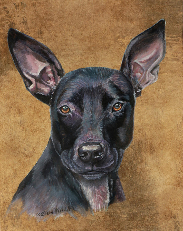 Dog Painting - Missy Pitbullmix Dog by Eileen Herb-witte