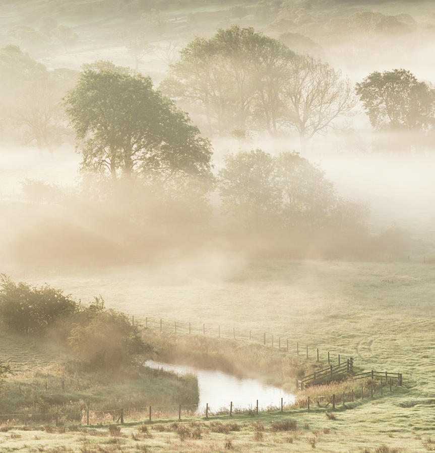 Mist in the Vale Photograph by Anita Nicholson
