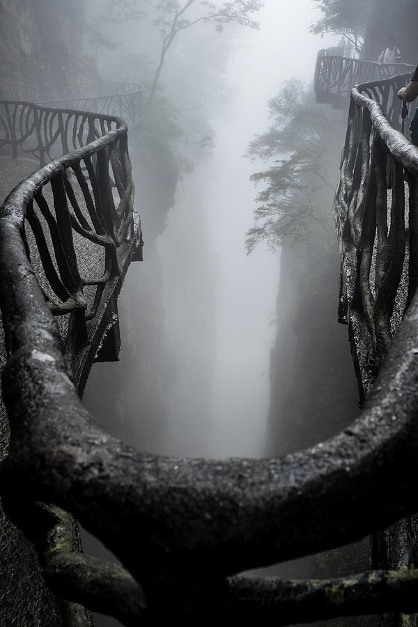Mountain Photograph - Mist by Inge Elewaut