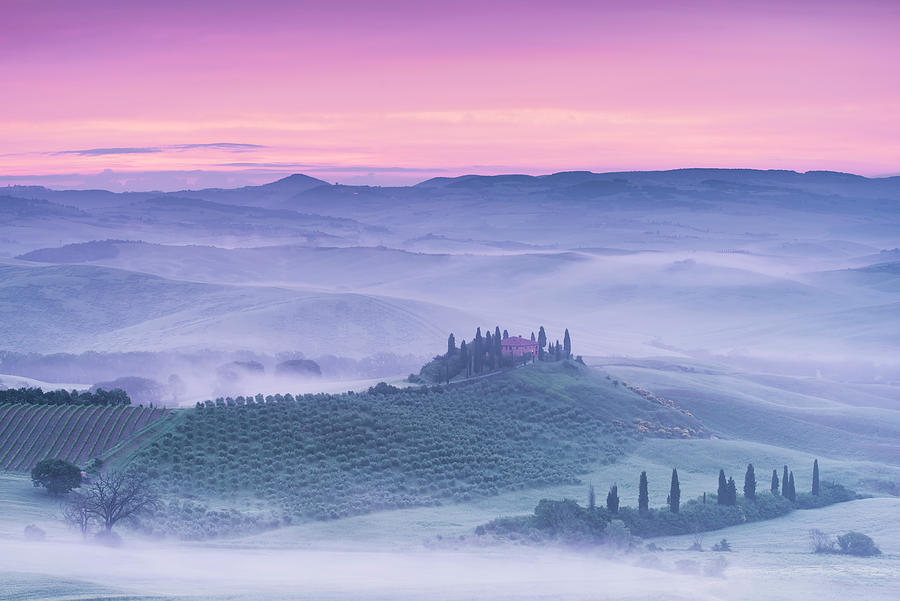Tree Photograph - Mist Over Belvedere by Michael Blanchette Photography
