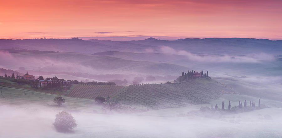 Tree Photograph - Mist Over Belvedere - Panaroma by Michael Blanchette Photography