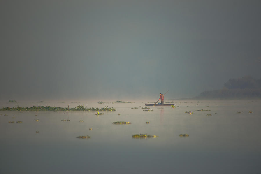 Mist Photograph by Pedro Ribeiro