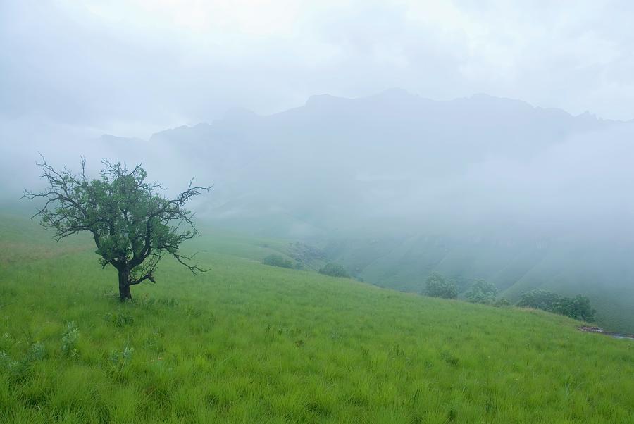 Mist Settling Over The Ndedema Gorge Photograph by Emil Von Maltitz