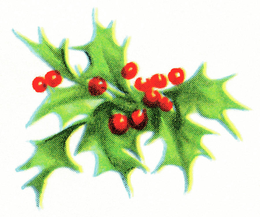 Christmas Drawing - Mistletoe by CSA Images