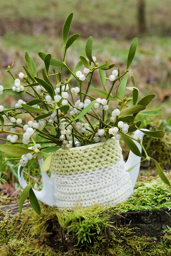 Mistletoe Twigs In Coffee Pot With Crocheted Cover Photograph by Sabine Lscher