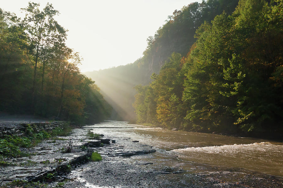 Misty Autumn Sunshine by David Lamb Misty Autumn Sunshine by David Lamb