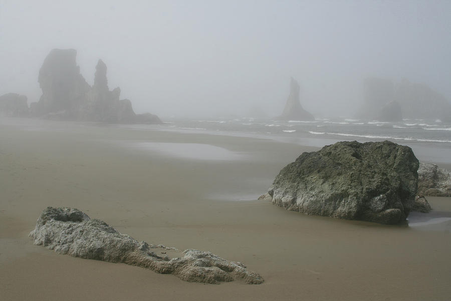 Misty Bandon Protrusions Photograph by Dylan Punke