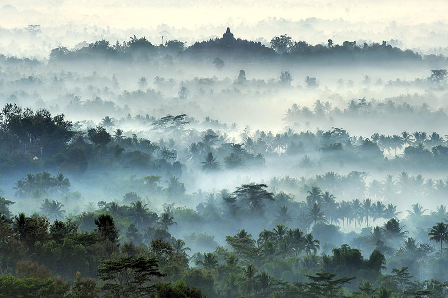 Jungle Photograph - Misty Borobudur by Ramdani