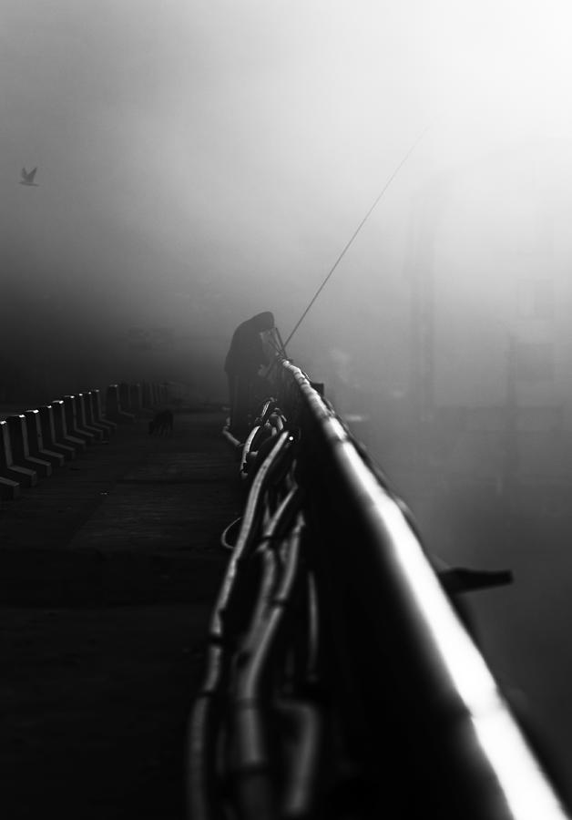 Seagull Photograph - Misty Bridge Series Vi by Julien Oncete