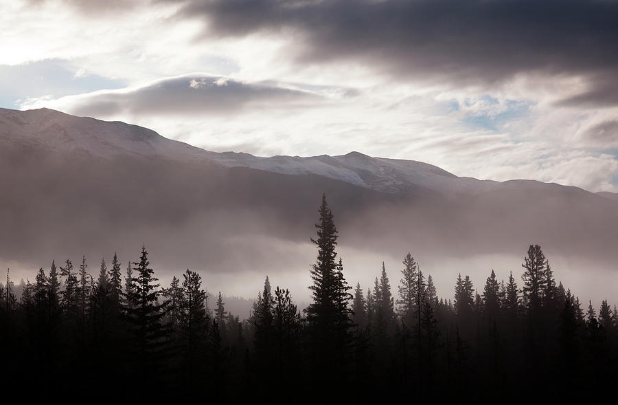 Misty Conditions Over The Landscape And Photograph by Mint Images/ Art Wolfe