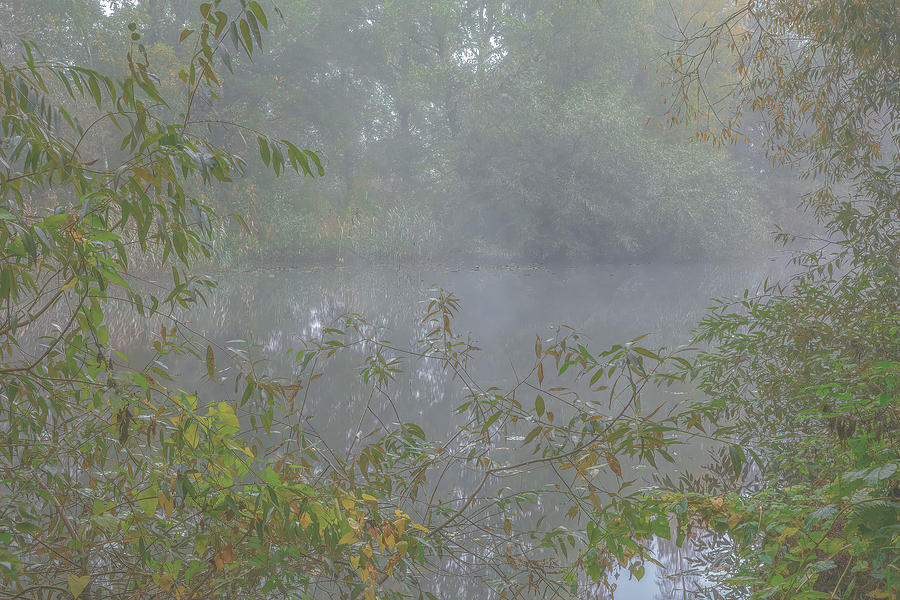 Misty creek #j2 Photograph by Leif Sohlman