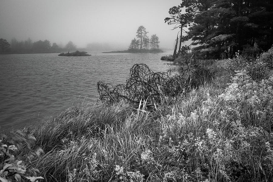 Misty Photograph by David Heilman