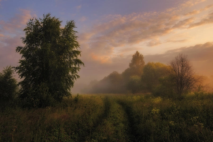 Misty Dawn Photograph by Kirill Volkov