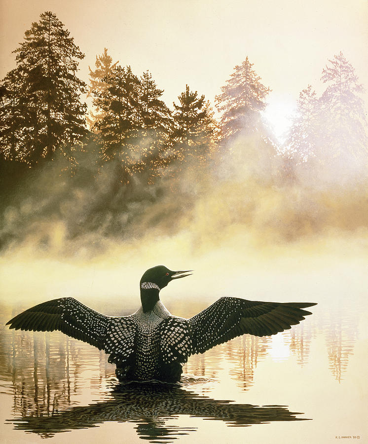 Misty Dawn - Loon Painting by Ron Parker