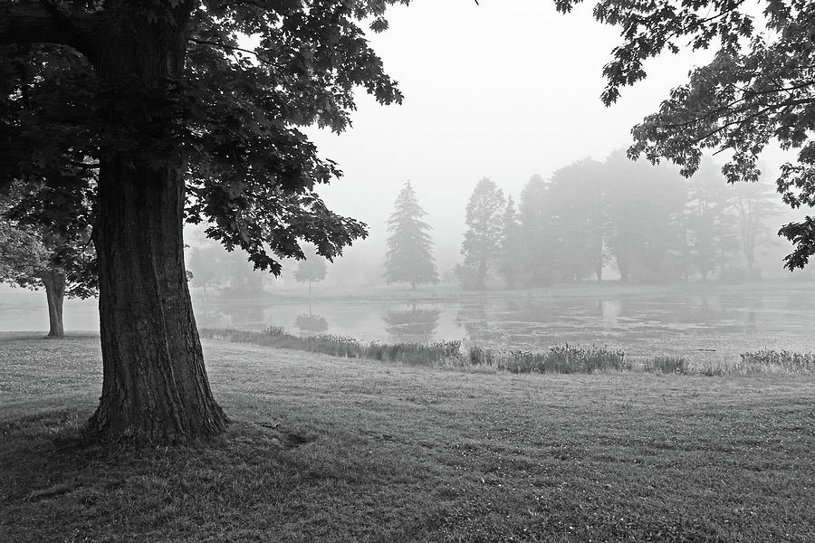 MIsty Day in Patton Park Hamilton MA Black and White Photograph by Toby McGuire