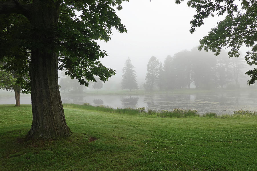 MIsty Day in Patton Park Hamilton MA Photograph by Toby McGuire