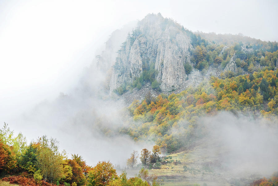 Misty Day Of Autumn Photograph by Maya Karkalicheva