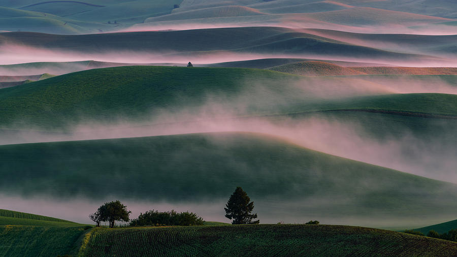 Misty Field Photograph by ??? / Austin Li