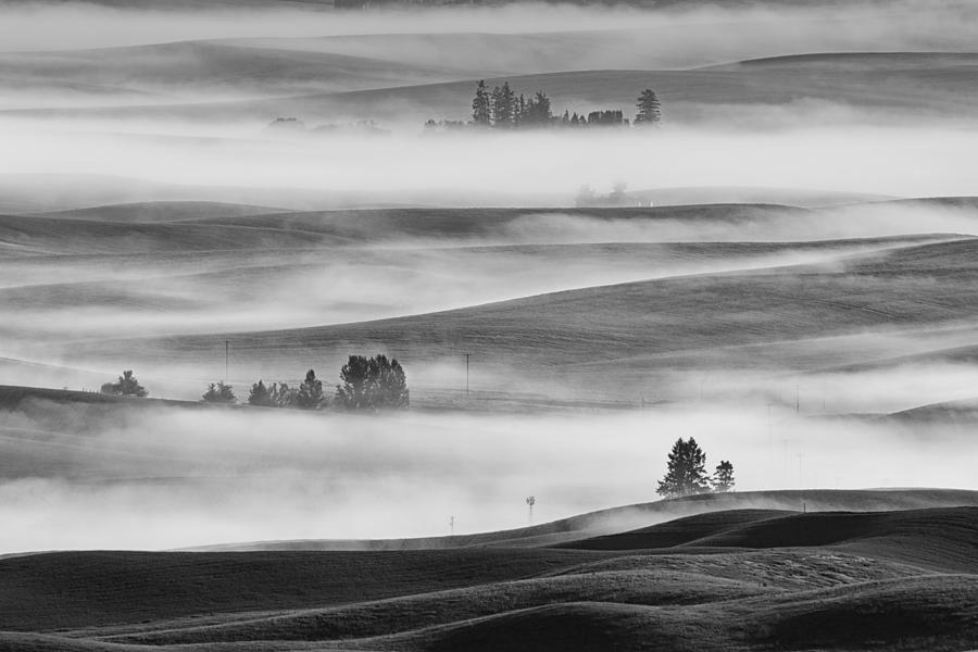 Black And White Photograph - Misty Field by Austin Li