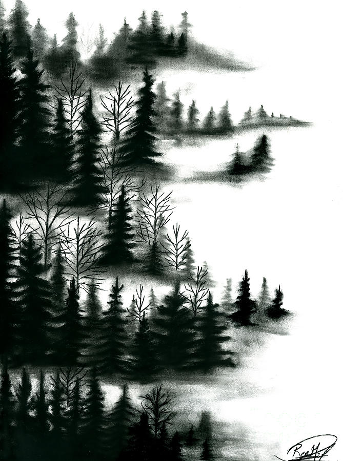 Misty Forest Drawing By Ben Graf