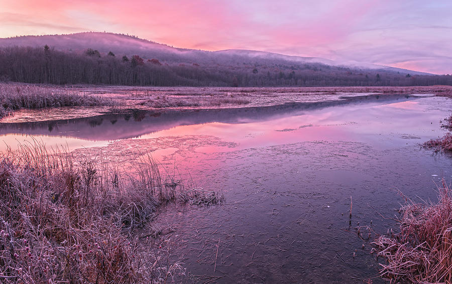 Misty Frost Dawn At Basha Kill Photograph by Angelo Marcialis