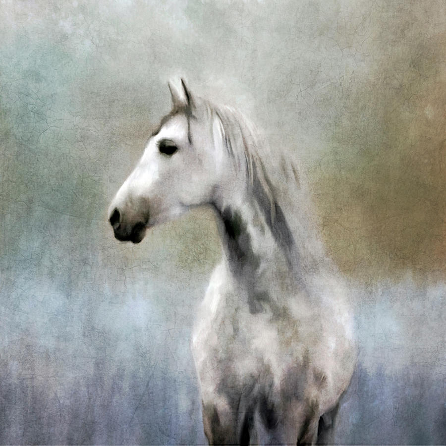 Wildlife Painting - Misty Grey Dappled Horse by Katrina Jones