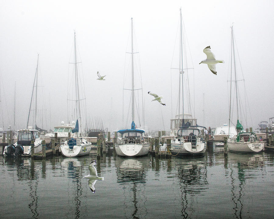 Misty Harbor on Lake Macatawa in Holland Michigan with Flying Gulls Photograph by Randall Nyhof