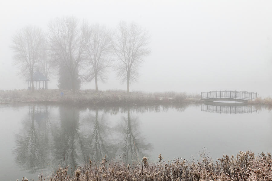 Misty Island Park Photograph by Patti Deters
