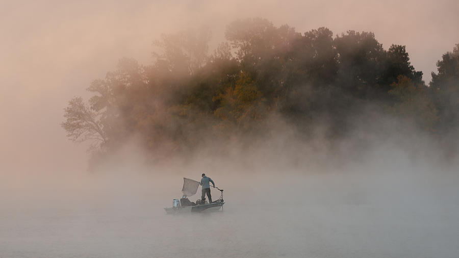 Tree Photograph - Misty Lake #3 by ??? / Austin Li