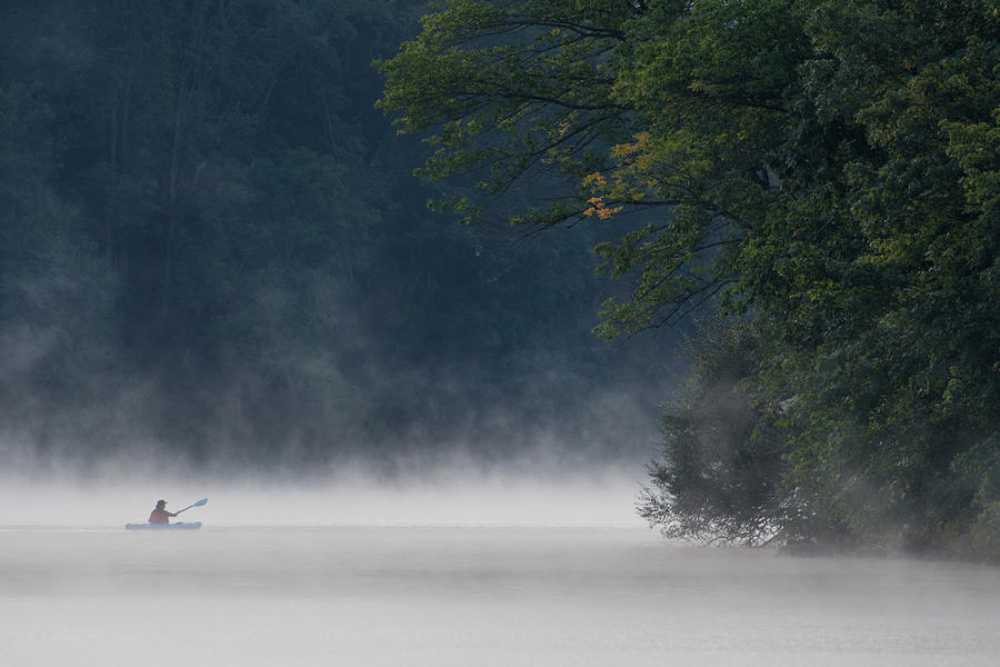 Tree Photograph - Misty Lake #7 by ??? / Austin Li