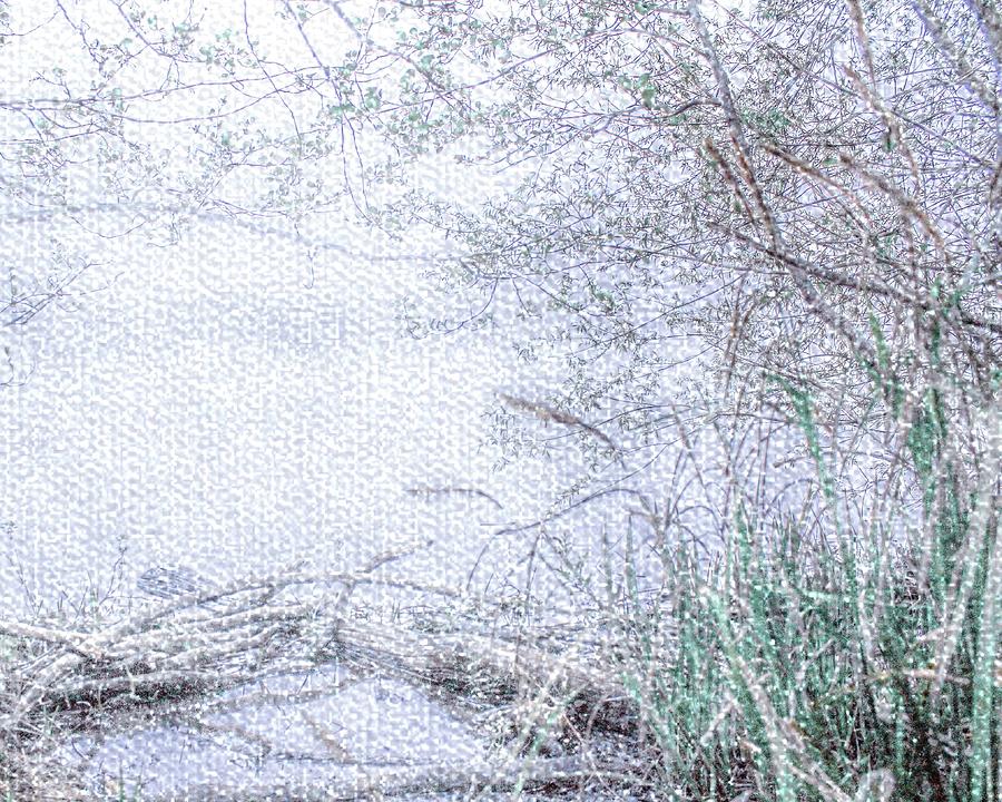 Misty Lake View by Nigel Dudson Misty Lake View by Nigel Dudson