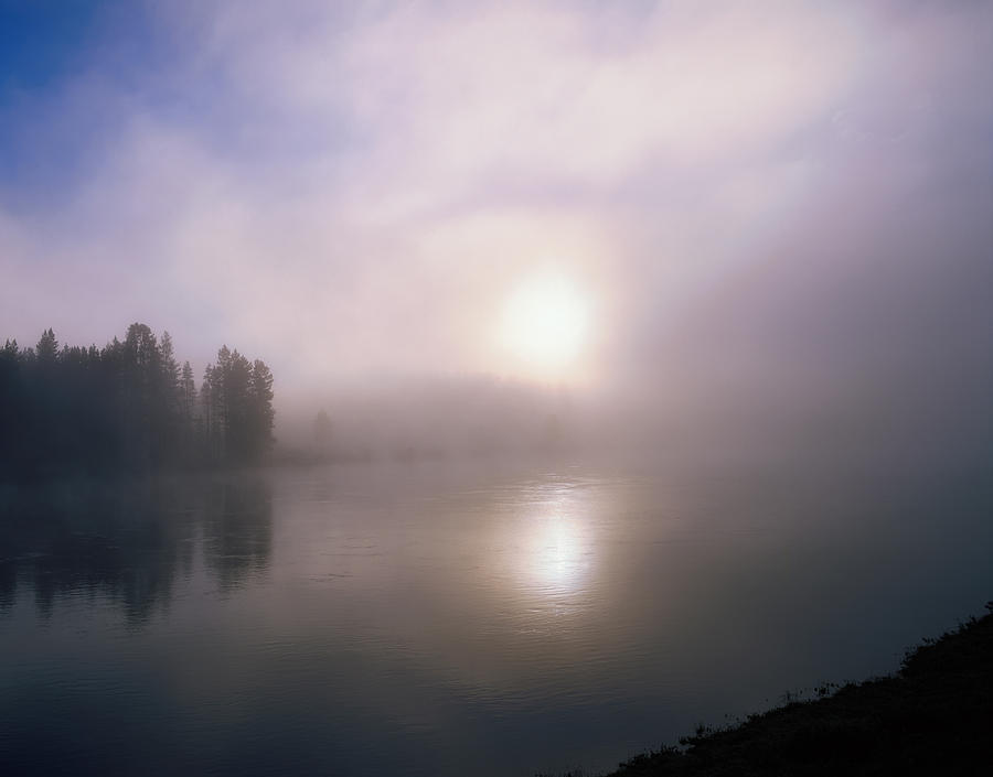 Misty Lake, Yellowstone Nat Park Photograph by Robert Glusic
