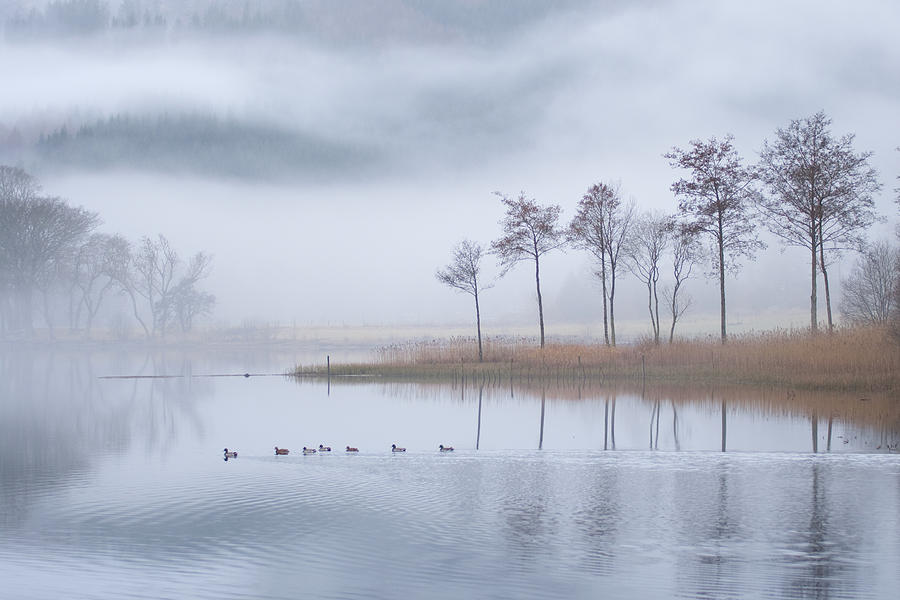 Misty Loch Ard Photograph by David Hannah