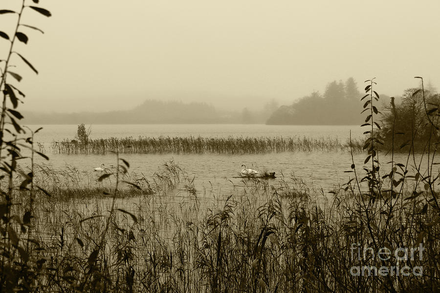 Misty Lough Eske Tint by Eddie Barron Misty Lough Eske Tint by Eddie Barron