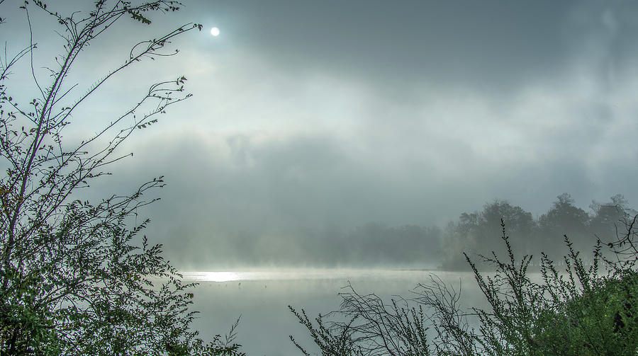 Misty Magical Morning on the Lake Photograph by Marcy Wielfaert