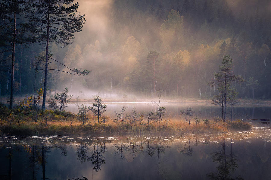 Misty Moment Photograph by Andreas Christensen