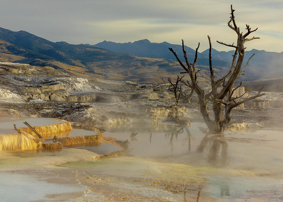 Moody Morning at Mammoth Hot Springs Photograph by Stephen Stookey
