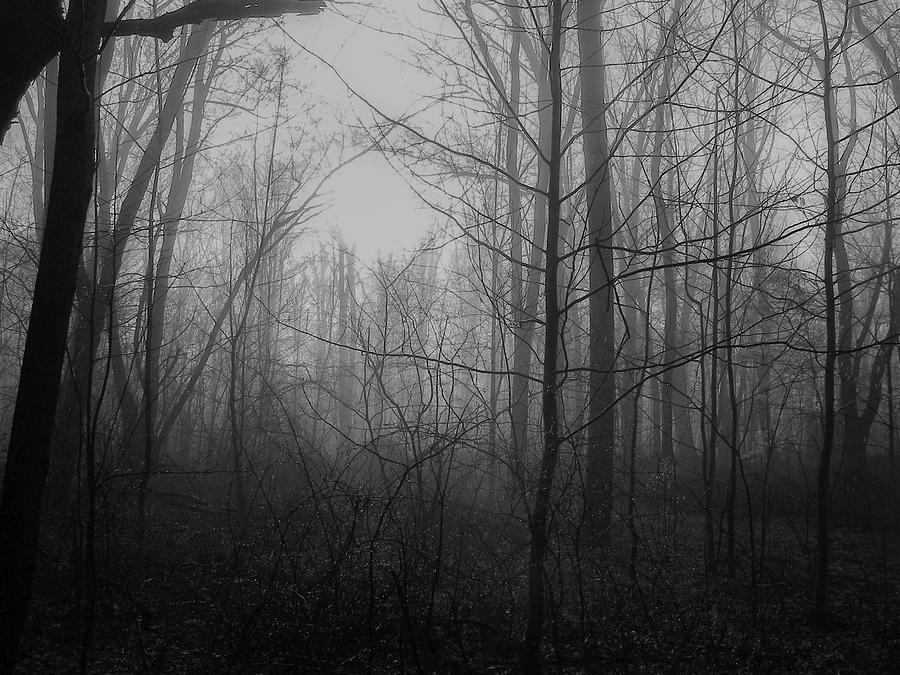 Misty Morning - Black And White Photograph