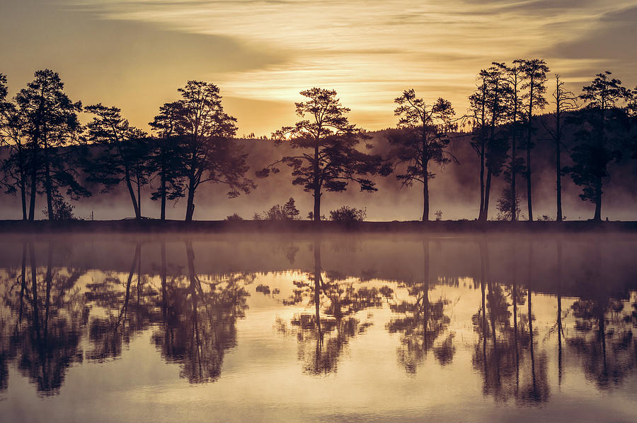 Misty Morning by George Grigoriadis Misty Morning by George Grigoriadis