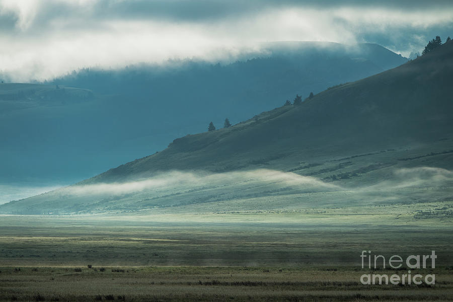 Misty Morning - Grand Teton National Park by Sandra Bronstein Misty Morning - Grand Teton National Park by Sandra Bronstein